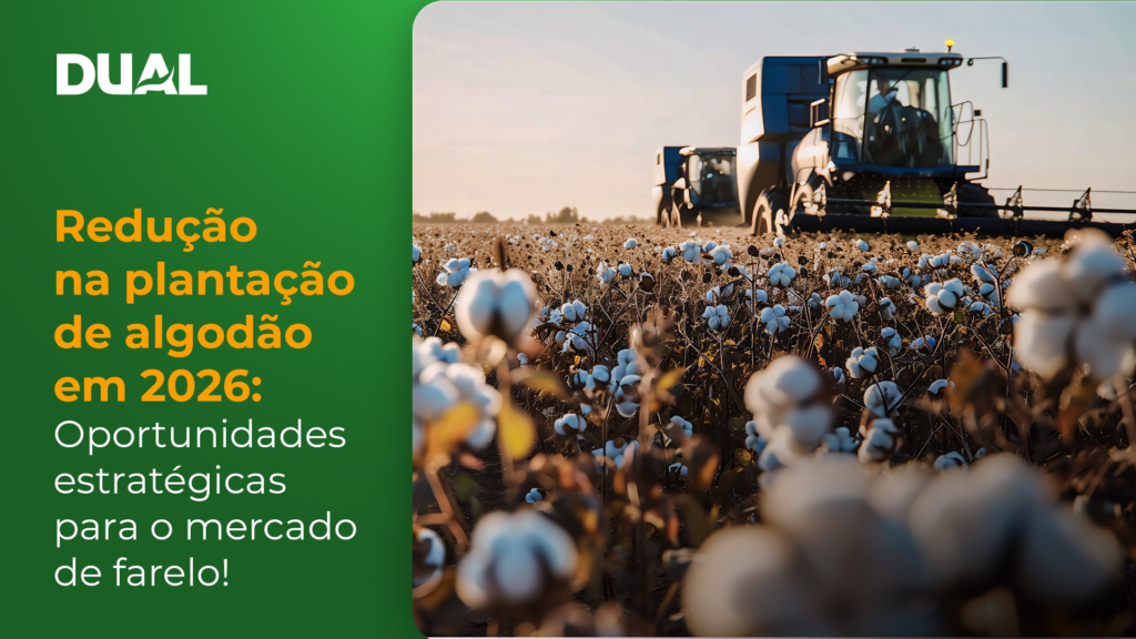 Safra 2026 registra queda de 5,5% na área de algodão, valorizando farelo. Estratégias para pecuaristas e suprimento confiável da DUAL