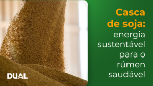 Casca de soja: energia sustentada com rúmen saudável. Dual entrega qualidade nacional para confinamentos.