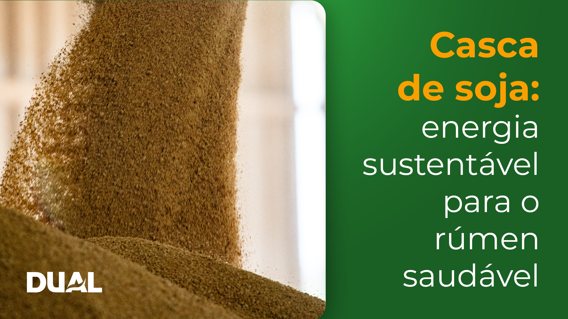 Casca de soja: energia sustentada com rúmen saudável. Dual entrega qualidade nacional para confinamentos.