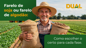 Guia prático sobre quando usar farelo de soja ou de algodão na nutrição animal. Confira as vantagens de cada opção em cada fase produtiva.